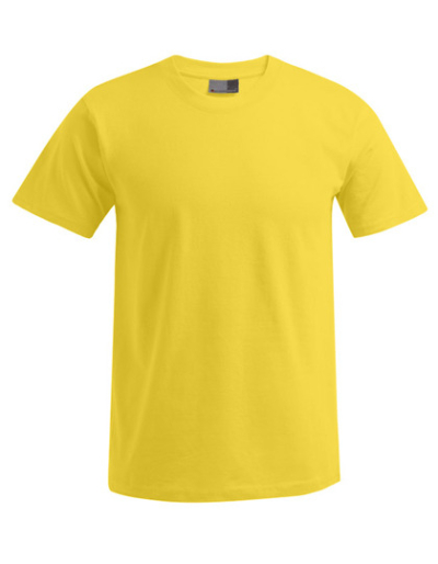 Promodoro Mens T-Shirt PREMIUM. (5XL)