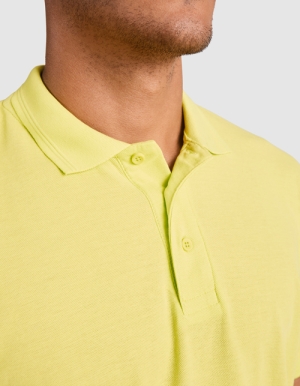 Preview: ROLY Mens Poloshirt PEGASO PREMIUM (S - 4XL)