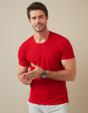 STEDMAN Mens T-Shirt CLIVE (S - XXL)
