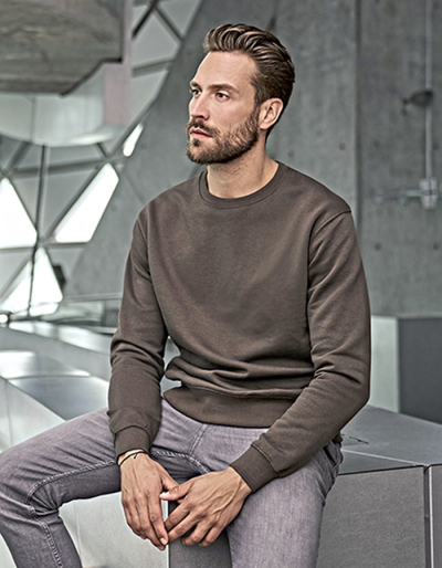 TeeJays Mens Sweatshirt HEAVY (S - 5XL)