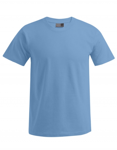 Preview: Promodoro Mens T-Shirt PREMIUM. (XS - 5XL)