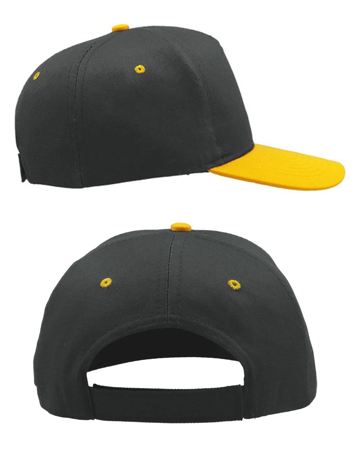 ATLANTIS 5 Panel Cap START